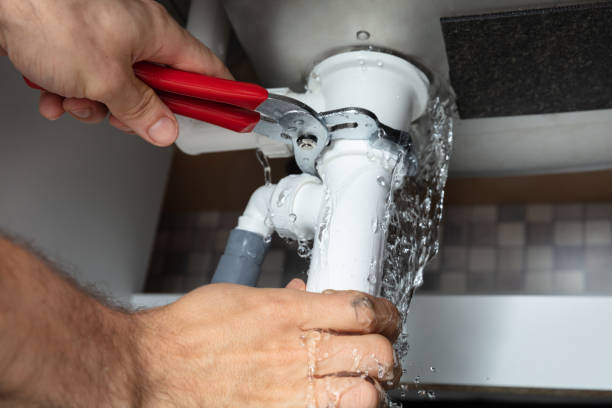 Best Mold removal after water damage  in Maricopa, AZ