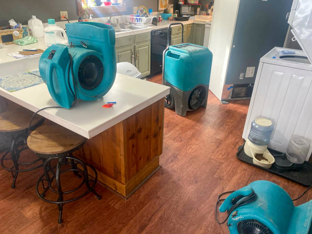 Best Commercial water damage restoration  in Maricopa, AZ