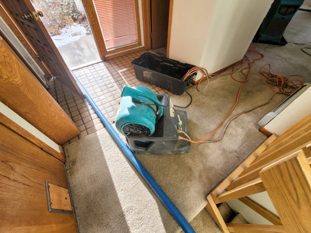 Best Local water damage restoration  in Maricopa, AZ