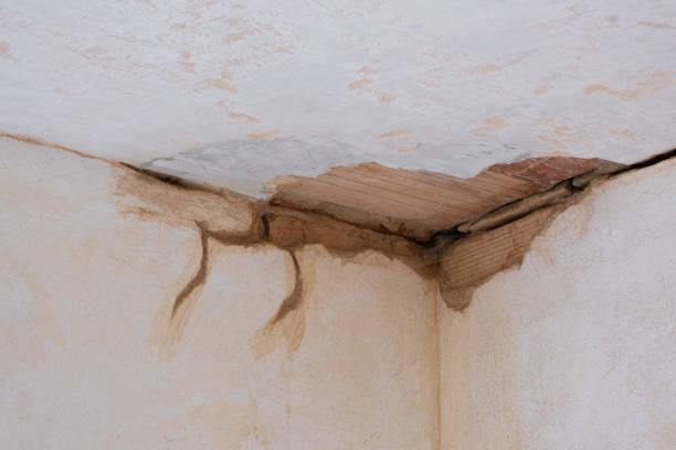 Best Carpet water damage restoration  in Maricopa, AZ
