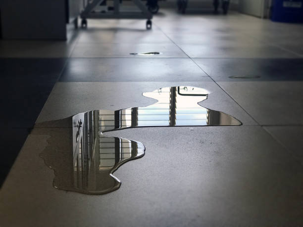 Best Water damage contractors near me  in Maricopa, AZ