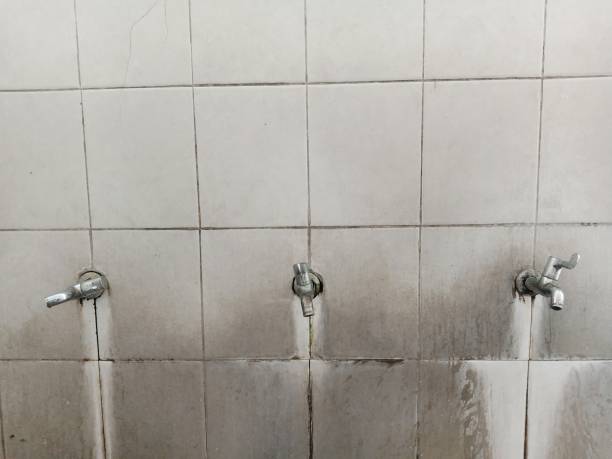 Best Sewage cleanup and water damage restoration  in Maricopa, AZ