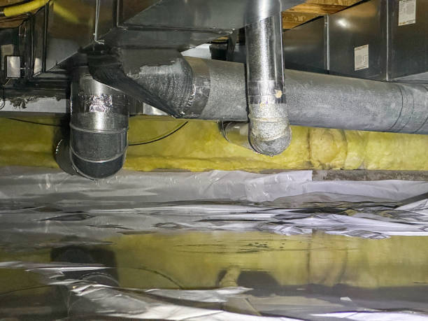 Water damage restoration mold remediation in AZ