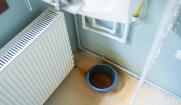 Best Flood restoration services  in Maricopa, AZ