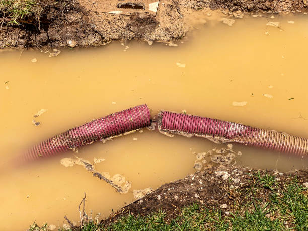 Best Emergency water damage restoration  in Maricopa, AZ